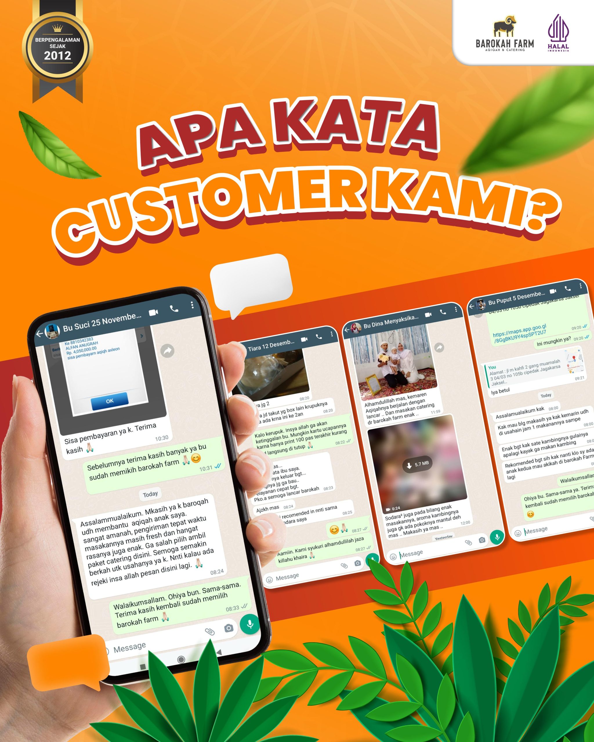 WhatsApp Image 2025-09-29 at 07.36.35